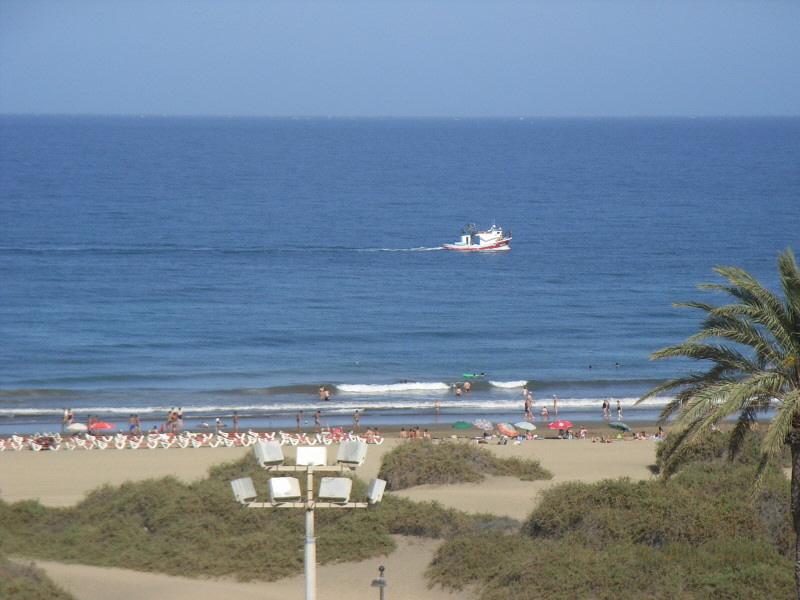 Kopie von RIMG0358-3